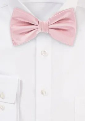 Petal Solid Bowtie